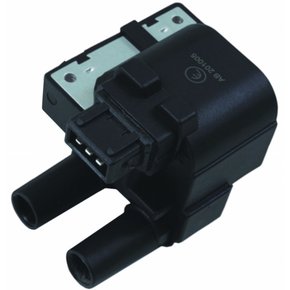 Bobina De Ignição Euro 30531 Renault Clio, Kangoo, Megane, Scenic