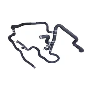 Mangueira Inferior Radiador Renault - MG1462