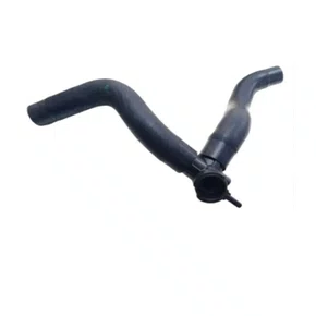 Mangueira Superior do Radiador (Montada) Hyundai HB20 MG1709