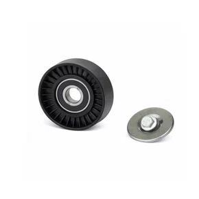 Polia auxiliar alternador fiat stilo, gm, corsa cobalt, VT8637