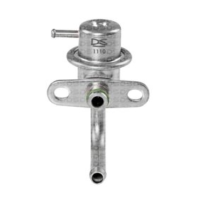 Regulador De Pressão DS1110 Mazda Allegro, Protege