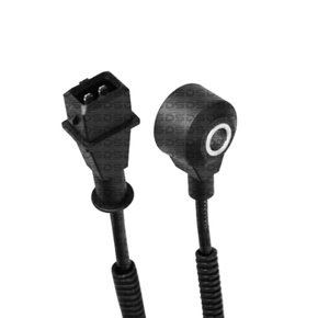 Sensor Detonação DS2120 Fiat Palio Idea, Punto, Siena