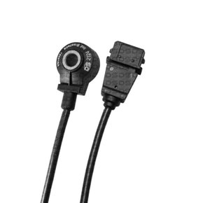 Sensor Detonação DS2124 Peugeot 306, 406, 407, 806, Citroen