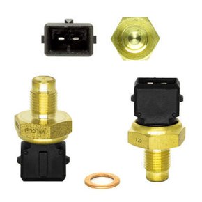 Sensor Temperatura Painel 33088 2pinos Gol, Santana, Parati