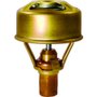Válvula Termostática 2247.87 Ford Delrey 1.6 Álcool 86>